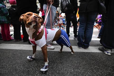 This runner dressed up in her running attire, but could not participate in the Bank of America Chicago Marathon. Thousands of runners from all over the world participated in the 35th annual race.