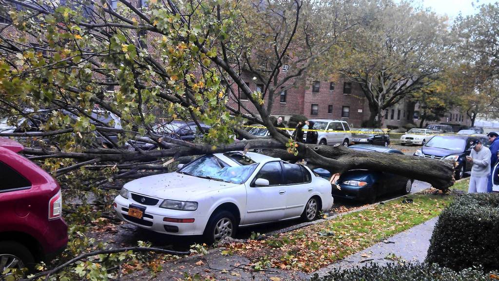 Damaged cars sit under a fallen tree from high winds in the Queens borough of New York. Hurricane Sandy began battering the U.S. East Coast on Monday with fierce winds and driving rain, as the monster storm shut down transportation, shuttered businesses and sent thousands scrambling for higher ground hours before the worst was due to strike.