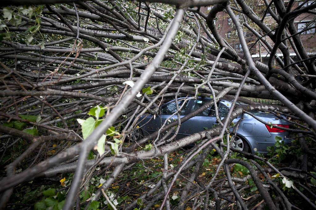 A car is crushed under a fallen tree in the Lower East Side in the aftermath of Hurricane Sandy in New York.
