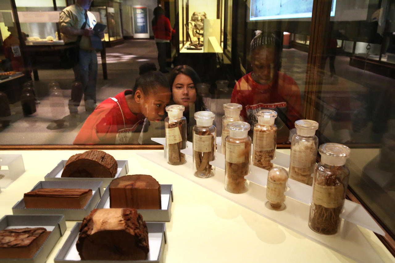 Students, Trashonna Cannon and Jamaica Wright, both 9, from Leif Ericson Elementary Scholastic Academy, look at an exhibit of an array of grains, wood fibers, oils, resins with Anne Marie Fayer, an educator with the Field Museum.