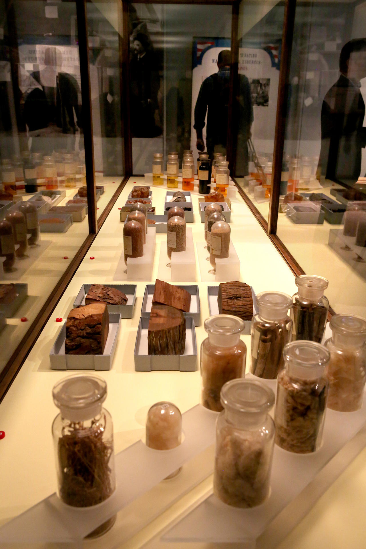 A case full of an array of oils, resins, wood and fibers on display at the fair.