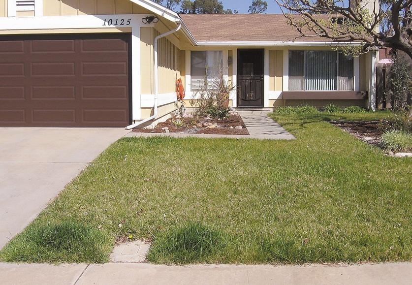a-mira-mesa-couple-earned-a-hefty-rebate-by-replacing-their-front-lawn
