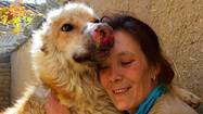  Charity helps foreign troops take Afghanistan pets home 