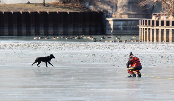 Chicago Police try to rescue a dog stranded on the frozen pond at the Jackson Park Yacht Club on Chicago's South Side.