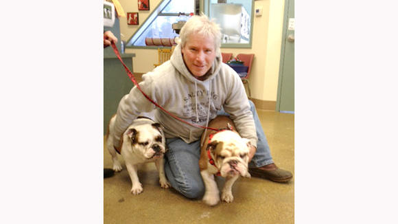 John Marvin and his wife traveled from Midland to adopt the bulldog on the left from the Elk Country Animal Shelter. The bulldog on the right was already a member of the Marvin family.