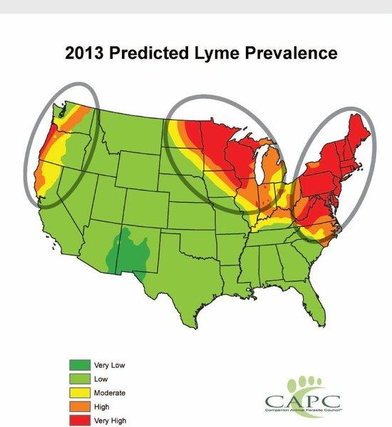 LYME DISEASE, autism do not appear linked, researchers say - latimes