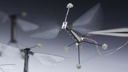 Meet RoboBee, a bug-sized, bio-inspired flying robot 