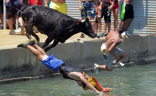 People jump in the sea to escape a bull during the traditional running of bulls at Denia's harbour, near Alicante on July 8, 2013.