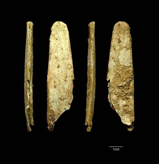 Neanderthal tools