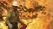 National Park Service director gets firsthand look at the Rim fire