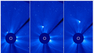 Has comet ISON survived its solar flyby? 