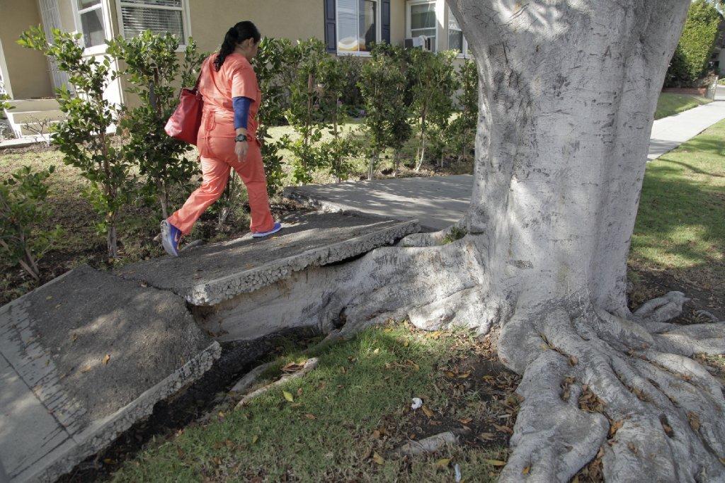 A pedestrian walks over a damaged sidewalk in the Rancho Park area of Los Angeles. With an estimated 4,600 miles of sidewalk in L.A. in need of repair, the city set aside $10 million this year for reconstruction.