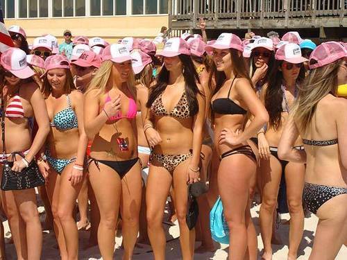 Pictures Bikini Parade World Record In Panama City Beach Chicago Tribune
