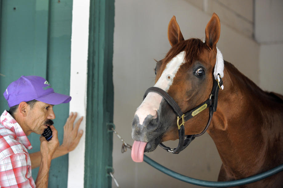 Kentucky Derby winner California Chrome arrives at Pimlico he is with his groom, Raul Rodriguez.