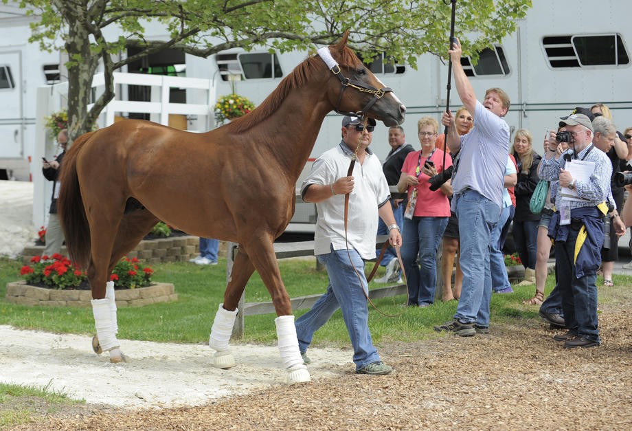 California Chrome arrives at Pimlico and is led off the trailer by assistant trainer Alan Sherman.