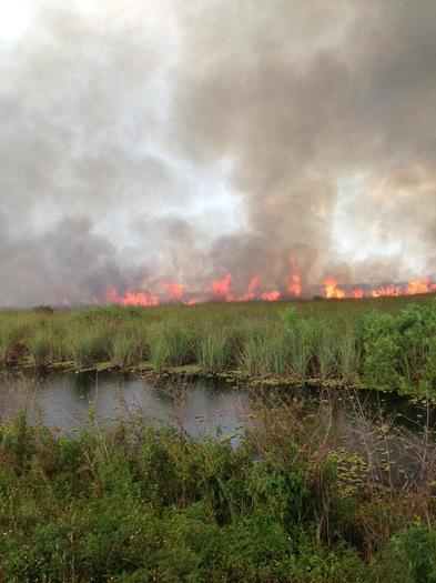 A 2,630-acre fire is burning out of control in far western Palm Beach County.