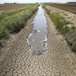 California agriculture industry facing $1 billion in drought losses