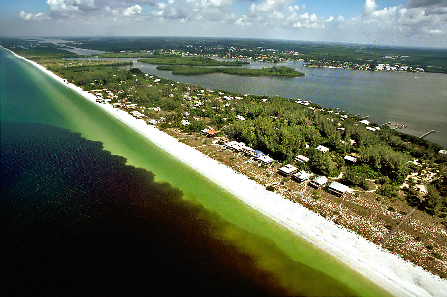 Massive 'Florida red tide' is now 90 miles long and 60 miles wide LA