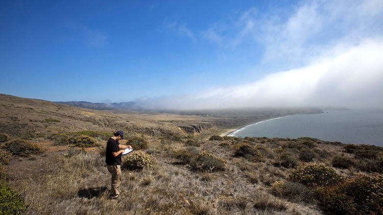 Santa Cruz Island archeological sites threatened by shoreline erosion