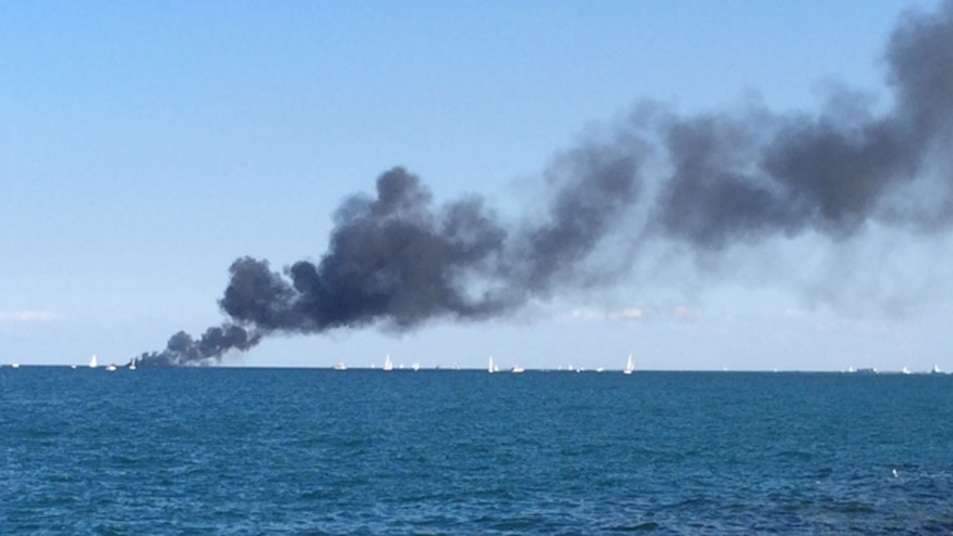 Couple and two dogs rescued from burning boat - Chicago Tribune