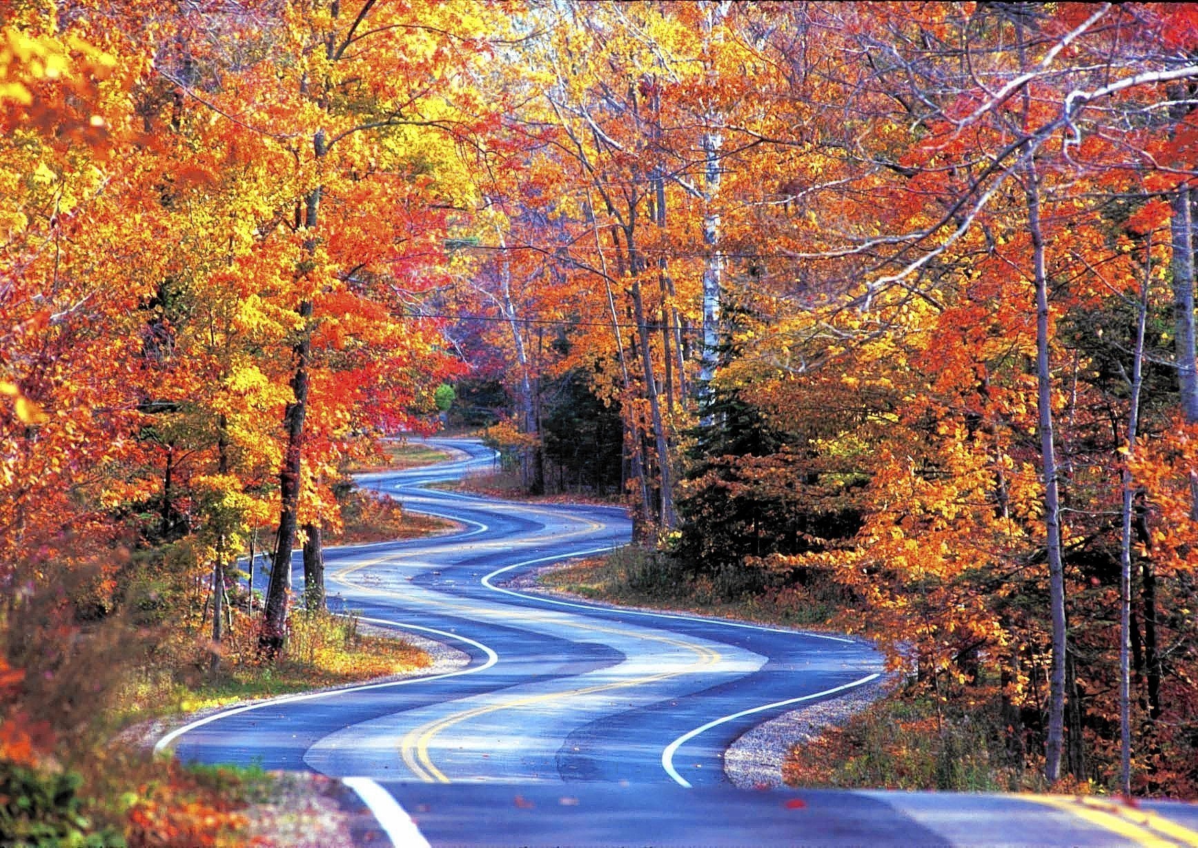 Great Wisconsin drives for fall leaves - Chicago Tribune