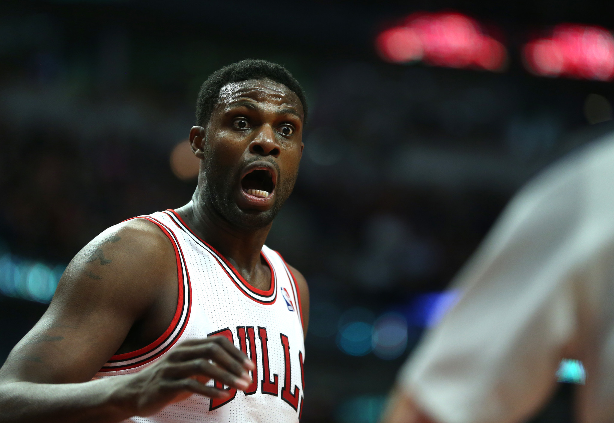 Nazr Mohammed re-signs with Bulls - Chicago Tribune