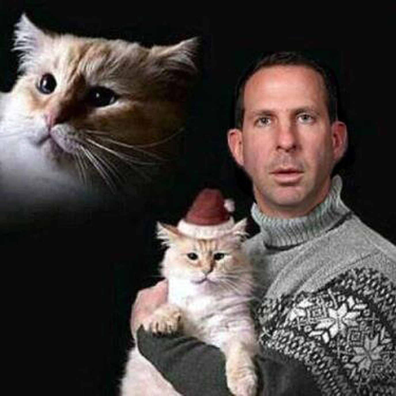 pelini faux bo cat fake mike riley coach nebraska ever cats portrait guy bad kitty sports moment give christmas corner