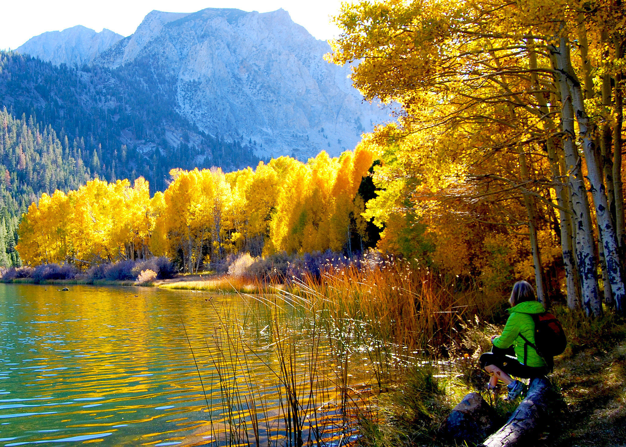 California: Plumas County claims fall color crown this weekend - LA Times
