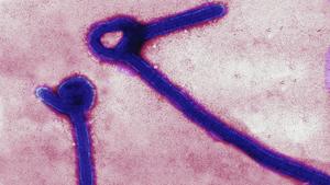 Milford Father Files Lawsuit After Daughter Told To Stay Home Amid Ebola Concerns