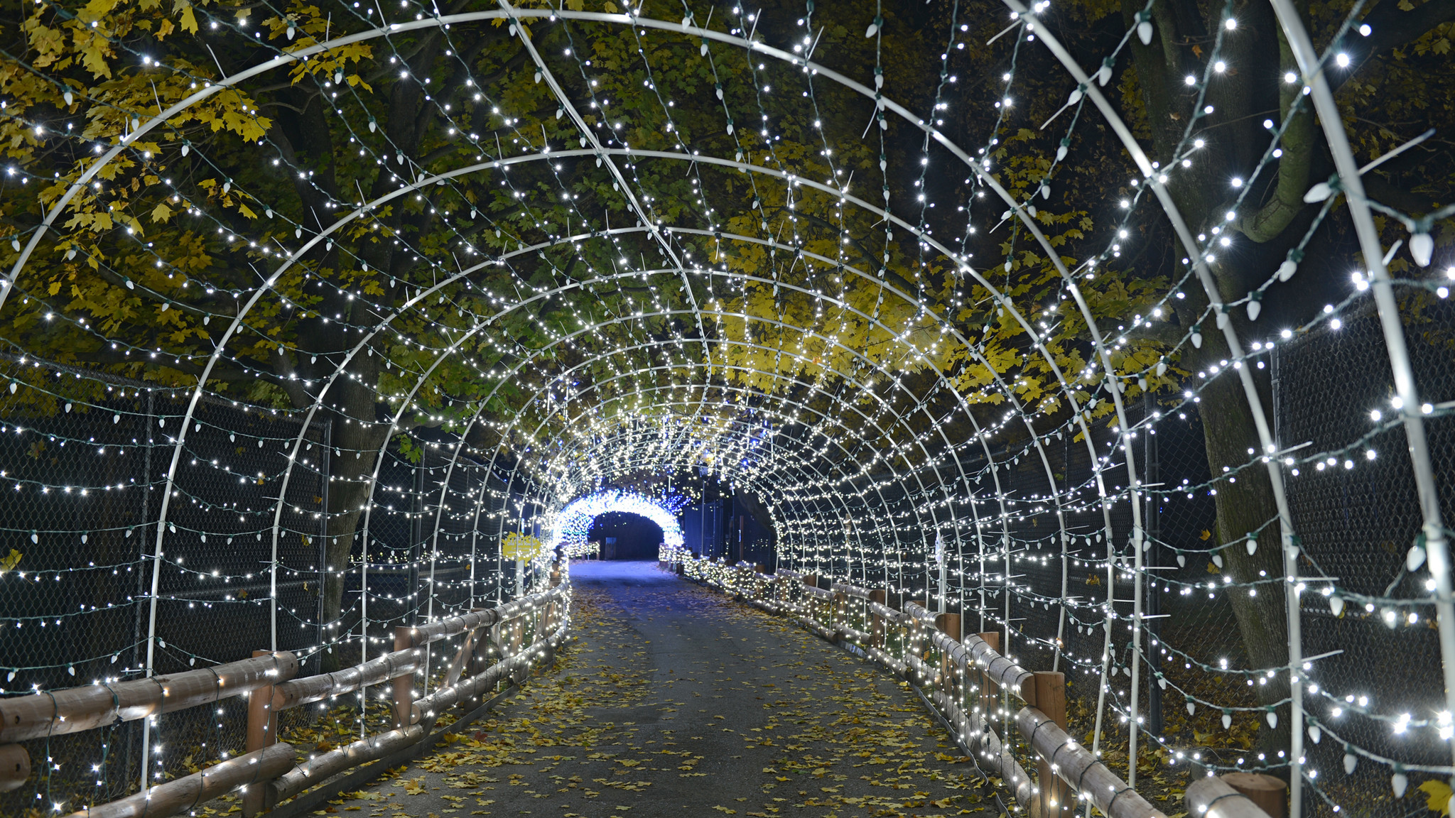 VIDEO: Lehigh Valley Zoo&#39;s Winter Light Spectacular - The Morning Call
