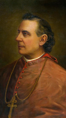 Archbishop Feehan