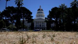 California drought most severe in 1,200 years, study says