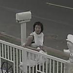Woman sought in vandalism of Buddhist temple