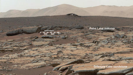 Life on Mars? Gillespie rock examined