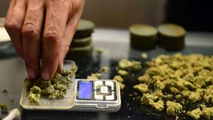 Medical pot may be back on ballot in 2016