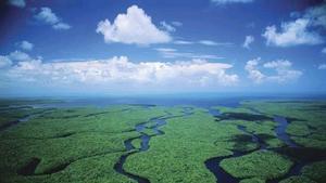 Obama budget gives boost to Everglades