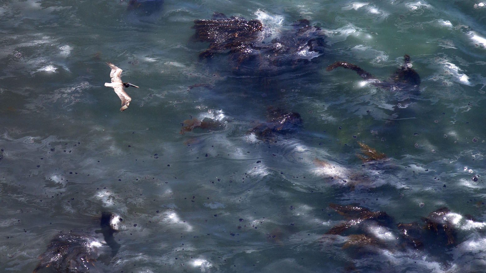 Oil spill off Santa Barbara coast