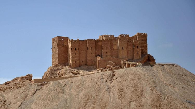 The Palmyra Castle