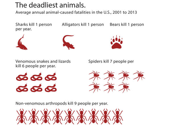 Chart: The animals that are most likely to kill you this summer – Chicago  Tribune