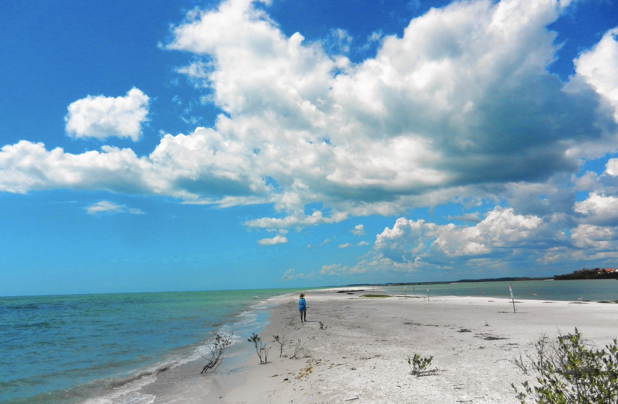 Discover Southwest Floridas Most Romantic Beaches 