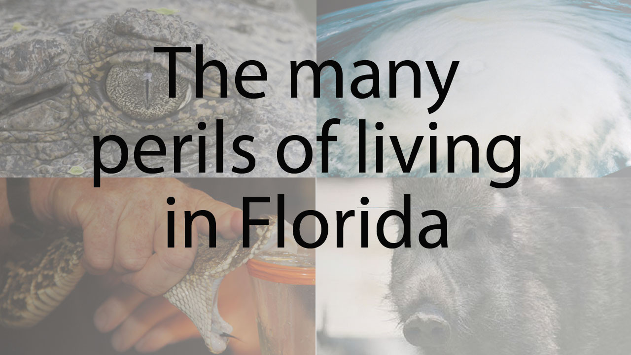 What is the safest place to live in Florida?