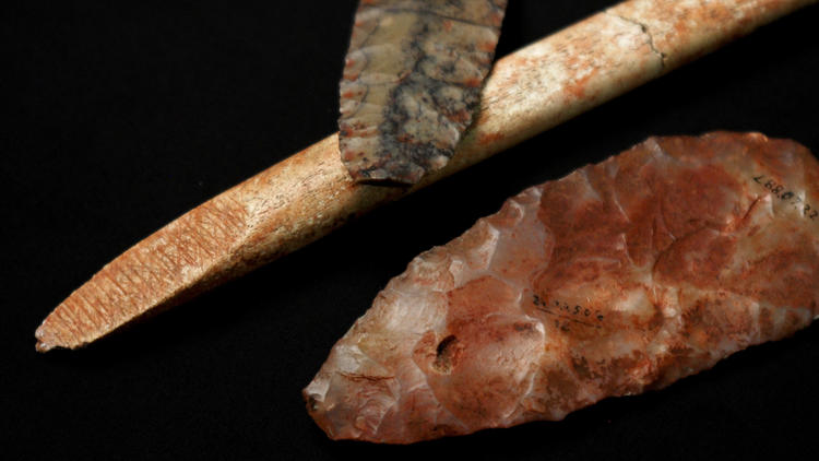 Clovis-era artifacts