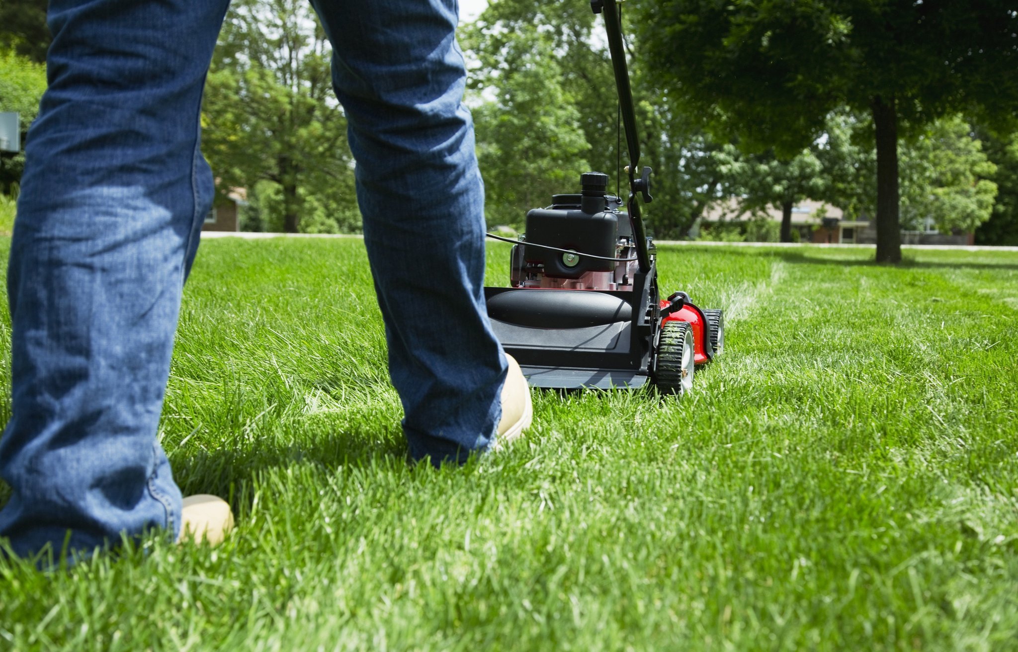 lawn-mowing-tips-for-a-healthy-lawn-calvert-lawn-care