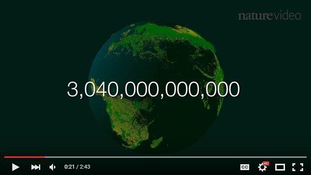 How many trees are there in the world?