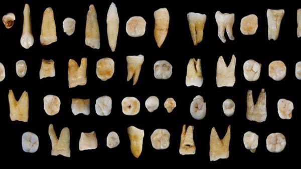 Homo sapiens teeth China