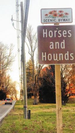 Horses and Hounds