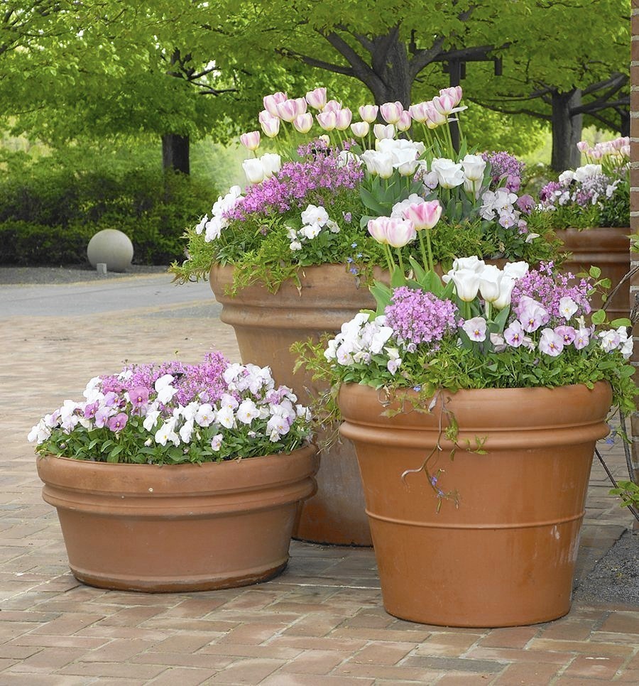 Overwinter terra cotta garden pots to keep them intact for next season