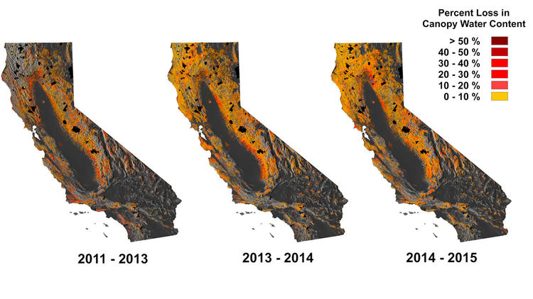 Maps show spread of drought across California forests