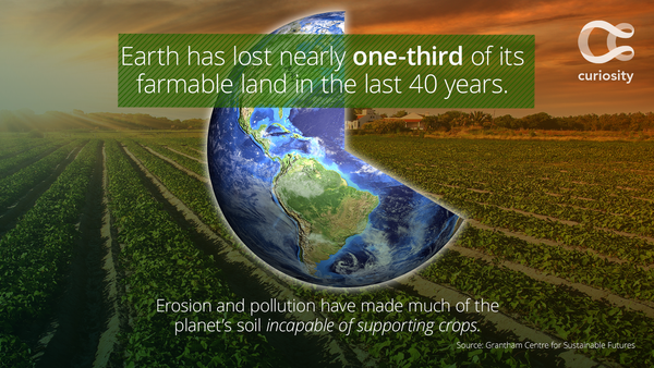Earth Is Rapidly Losing Its Farmable Land