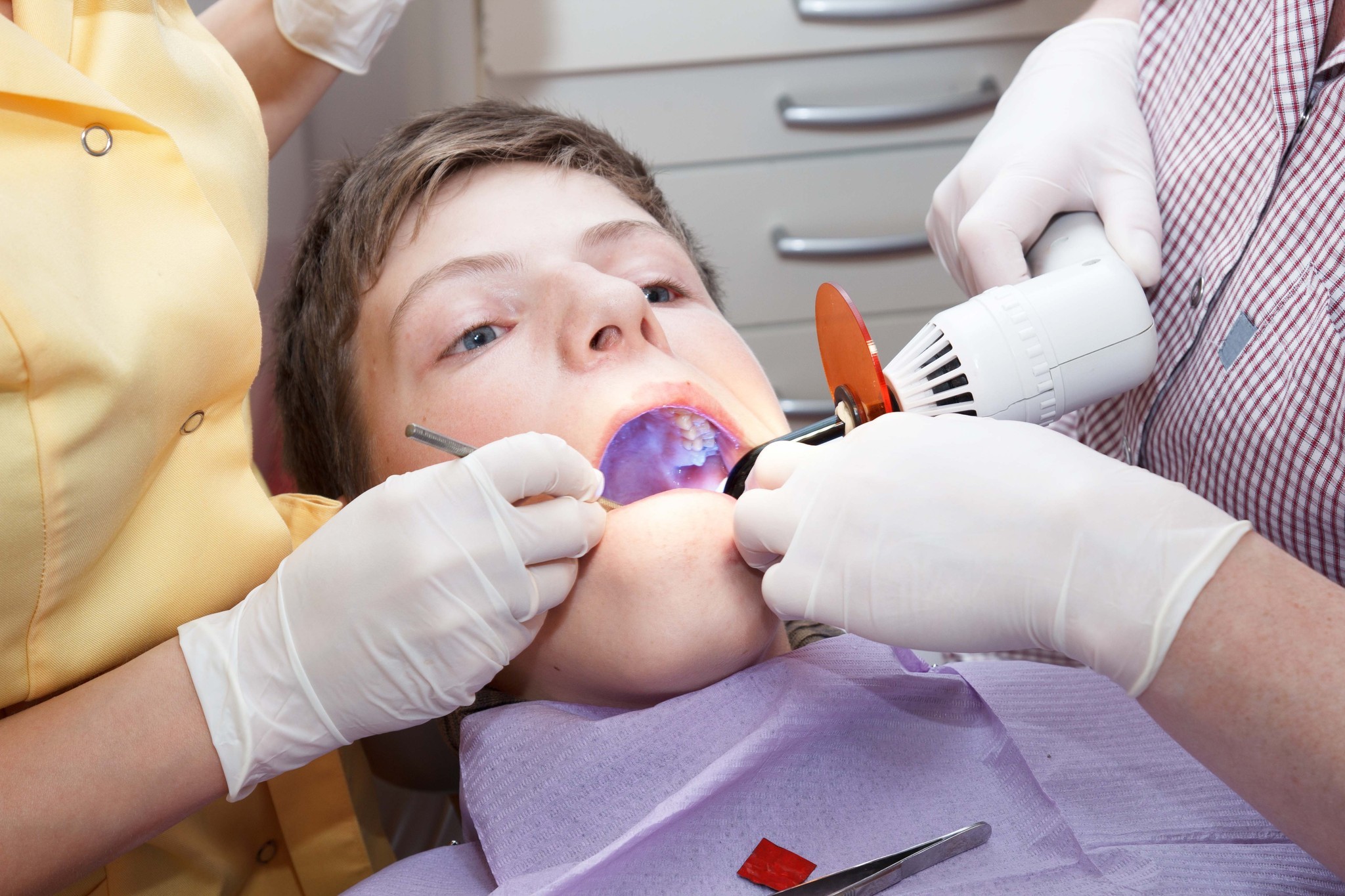 What are some dentistry schools in Florida?